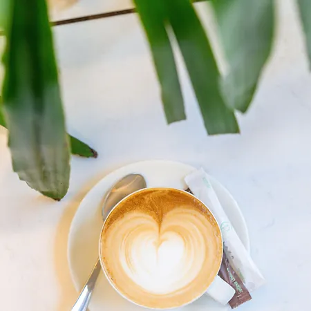 酒店 首府广场酒店 4*